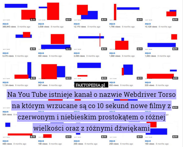 Na You Tube istnieje kanał o nazwie Webdriver Torso na którym wrzucane są co 10 sekund nowe filmy z czerwonym i niebieskim prostokątem o różnej wielkości oraz z różnymi dźwiękami 