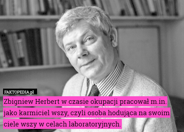 Zbigniew Herbert w czasie okupacji pracował m.in. jako karmiciel wszy, czyli osoba hodująca na swoim ciele wszy w celach laboratoryjnych. 
