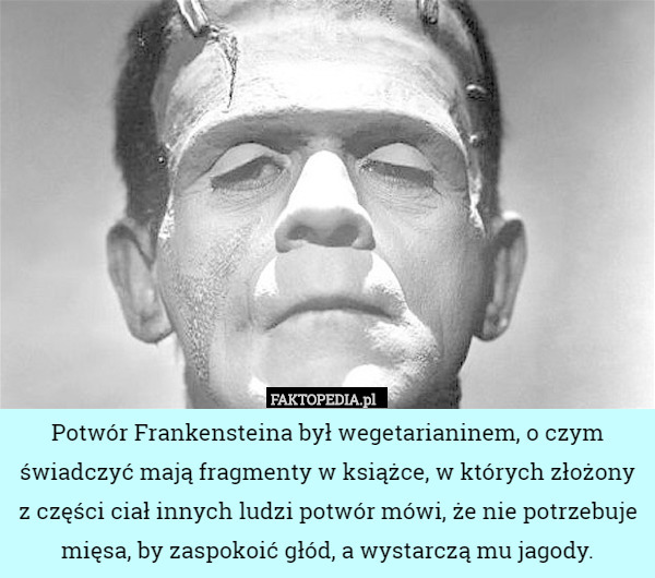 Potwór Frankensteina był wegetarianinem, o czym świadczyć mają fragmenty w książce, w których złożony z części ciał innych ludzi potwór mówi, że nie potrzebuje mięsa, by zaspokoić głód, a wystarczą mu jagody. 