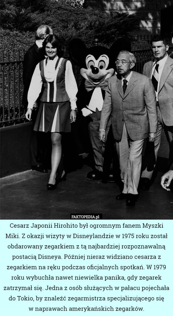 Cesarz Japonii Hirohito był ogromnym fanem Myszki Miki. Z okazji wizyty w Disneylandzie w 1975 roku został obdarowany zegarkiem z tą najbardziej rozpoznawalną postacią Disneya. Później nieraz widziano cesarza z zegarkiem na ręku podczas oficjalnych spotkań. W 1979 roku wybuchła nawet niewielka panika, gdy zegarek zatrzymał się. Jedna z osób służących w pałacu pojechała do Tokio, by znaleźć zegarmistrza specjalizującego się
w naprawach amerykańskich zegarków. 