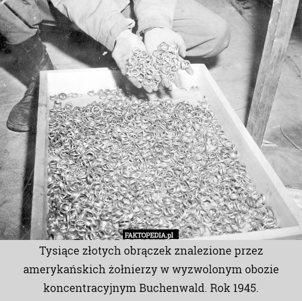 Tysiące złotych obrączek znalezione przez amerykańskich żołnierzy w wyzwolonym obozie koncentracyjnym Buchenwald. Rok 1945. 