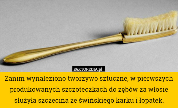 Zanim wynaleziono tworzywo sztuczne, w pierwszych produkowanych szczoteczkach do zębów za włosie służyła szczecina ze świńskiego karku i łopatek. 