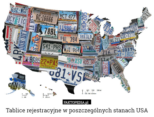 Tablice rejestracyjne w poszczególnych stanach USA 