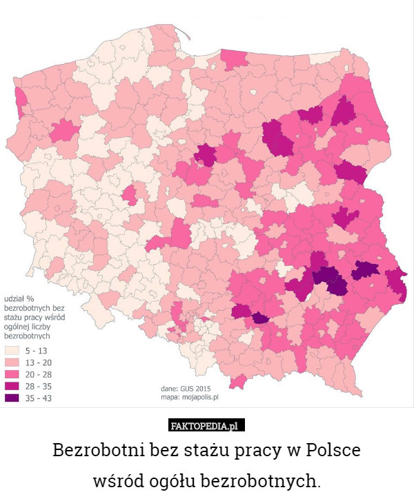 Bezrobotni bez stażu pracy w Polsce
 wśród ogółu bezrobotnych. 