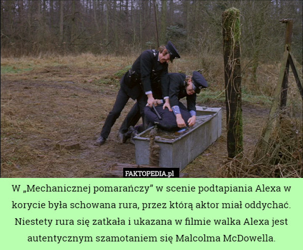 W „Mechanicznej pomarańczy” w scenie podtapiania Alexa w korycie była schowana rura, przez którą aktor miał oddychać. Niestety rura się zatkała i ukazana w filmie walka Alexa jest autentycznym szamotaniem się Malcolma McDowella. 