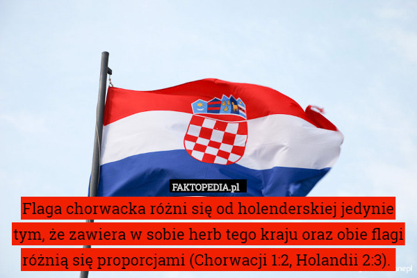 Flaga chorwacka różni się od holenderskiej jedynie tym, że zawiera w sobie herb tego kraju oraz obie flagi różnią się proporcjami (Chorwacji 1:2, Holandii 2:3). 
