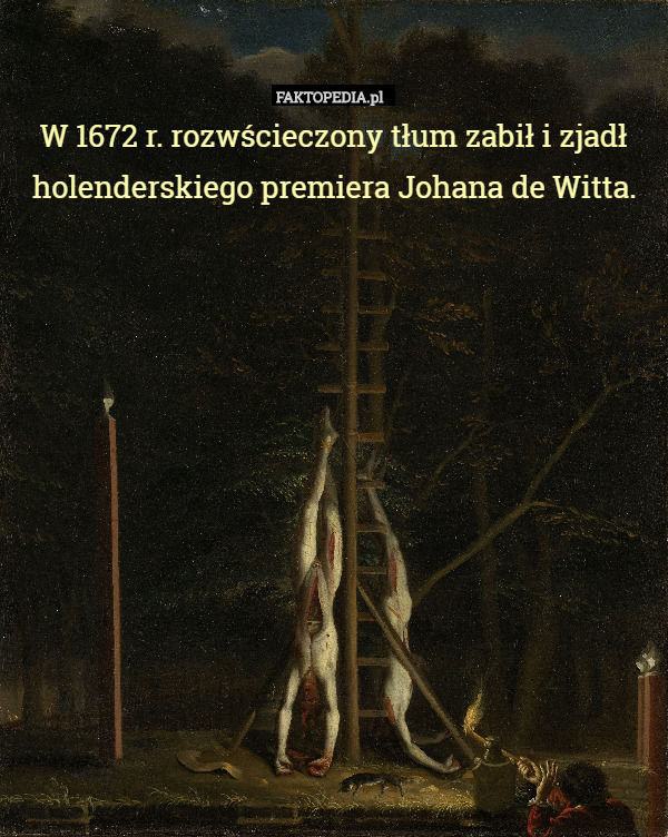 W 1672 r. rozwścieczony tłum zabił i zjadł holenderskiego premiera Johana de Witta. 
