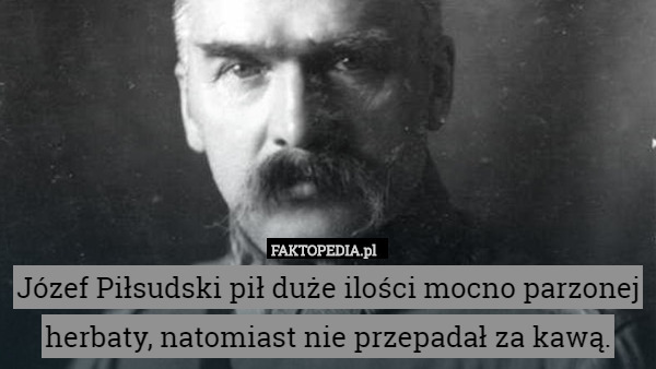Józef Piłsudski pił duże ilości mocno parzonej herbaty, natomiast nie przepadał za kawą. 