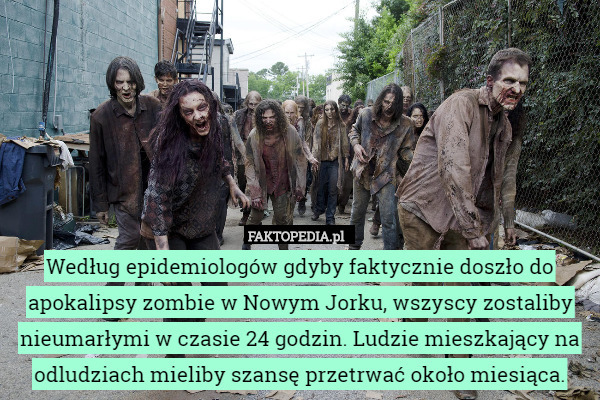 Według epidemiologów gdyby faktycznie doszło do apokalipsy zombie w Nowym Jorku, wszyscy zostaliby nieumarłymi w czasie 24 godzin. Ludzie mieszkający na odludziach mieliby szansę przetrwać około miesiąca. 