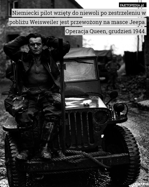 Niemiecki pilot wzięty do niewoli po zestrzeleniu w pobliżu Weisweiler jest przewożony na masce Jeepa. Operacja Queen, grudzień 1944. 