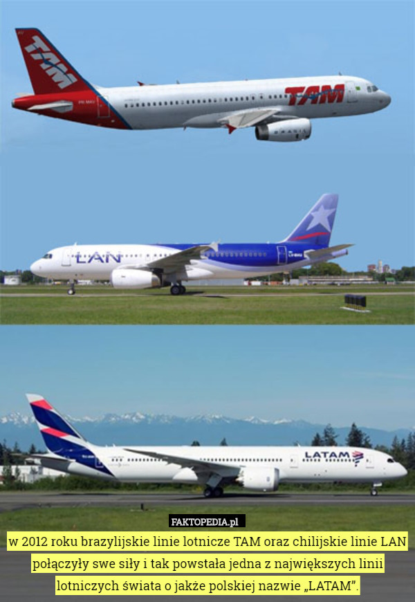 w 2012 roku brazylijskie linie lotnicze TAM oraz chilijskie linie LAN połączyły swe siły i tak powstała jedna z największych linii lotniczych świata o jakże polskiej nazwie „LATAM”. 