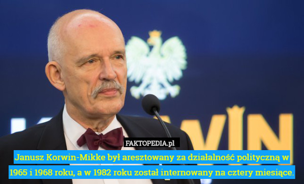 Janusz Korwin-Mikke był aresztowany za działalność polityczną w 1965 i 1968 roku, a w 1982 roku został internowany na cztery miesiące. 