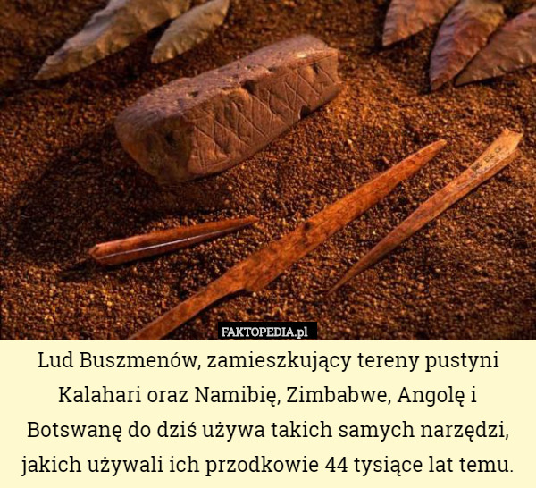 Lud Buszmenów, zamieszkujący tereny pustyni Kalahari oraz Namibię, Zimbabwe, Angolę i Botswanę do dziś używa takich samych narzędzi, jakich używali ich przodkowie 44 tysiące lat temu. 