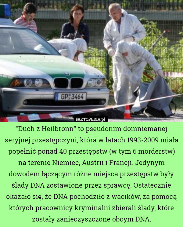 "Duch z Heilbronn" to pseudonim domniemanej seryjnej przestępczyni, która w latach 1993-2009 miała popełnić ponad 40 przestępstw (w tym 6 morderstw) na terenie Niemiec, Austrii i Francji. Jedynym dowodem łączącym różne miejsca przestępstw były ślady DNA zostawione przez sprawcę. Ostatecznie okazało się, że DNA pochodziło z wacików, za pomocą których pracownicy kryminalni zbierali ślady, które zostały zanieczyszczone obcym DNA. 