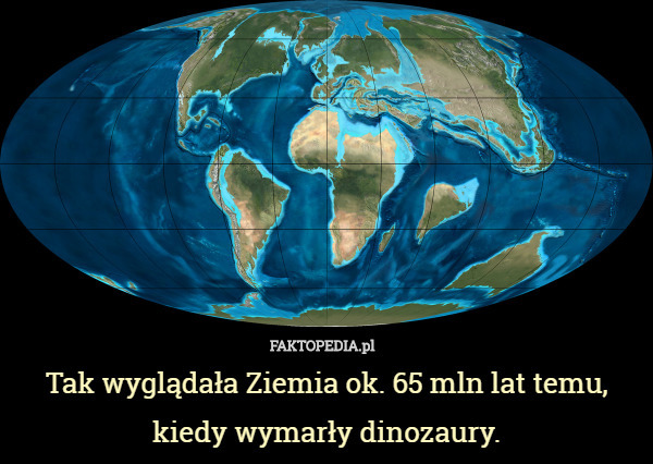 Tak wyglądała Ziemia ok. 65 mln lat temu, kiedy wymarły dinozaury. 