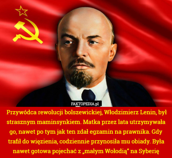 Przywódca rewolucji bolszewickiej, Włodzimierz Lenin, był strasznym maminsynkiem. Matka przez lata utrzymywała go, nawet po tym jak ten zdał egzamin na prawnika. Gdy trafił do więzienia, codziennie przynosiła mu obiady. Była nawet gotowa pojechać z „małym Wołodią” na Syberię 
