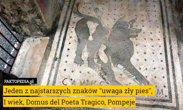 Jeden z najstarszych znaków "uwaga zły pies", 
I wiek, Domus del Poeta Tragico, Pompeje 
