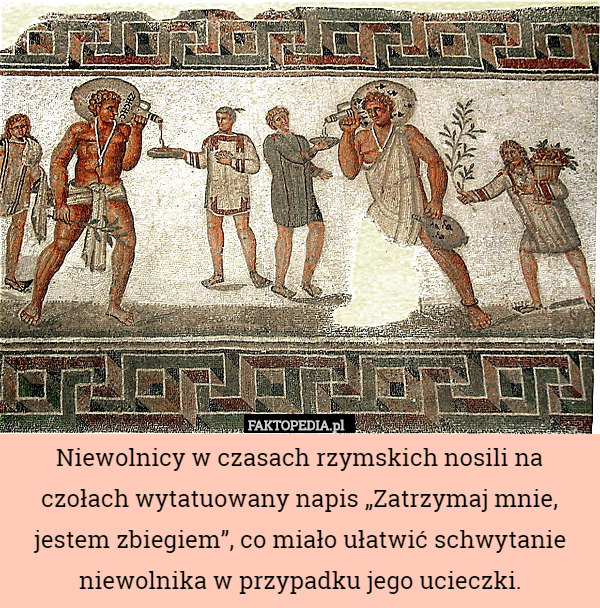 Niewolnicy w czasach rzymskich nosili na czołach wytatuowany napis „Zatrzymaj mnie, jestem zbiegiem”, co miało ułatwić schwytanie niewolnika w przypadku jego ucieczki. 