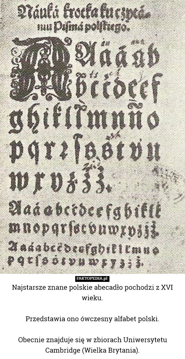 Najstarsze znane polskie abecadło pochodzi z XVI wieku.

Przedstawia ono ówczesny alfabet polski.

Obecnie znajduje się w zbiorach Uniwersytetu Cambridge (Wielka Brytania). 