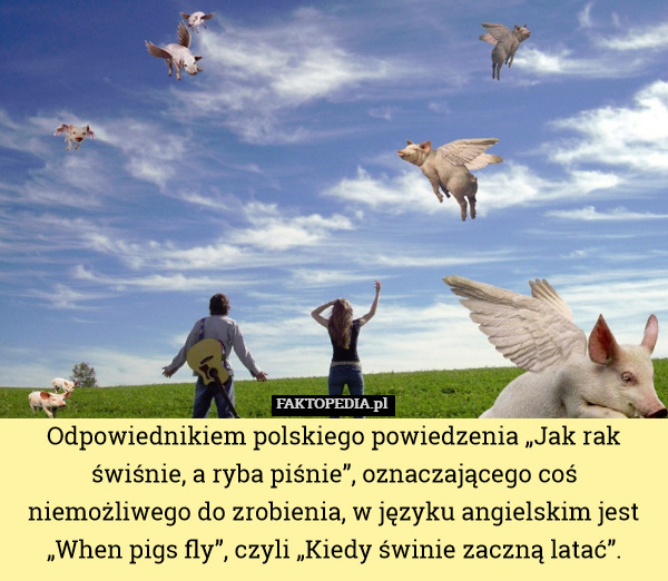 Odpowiednikiem polskiego powiedzenia „Jak rak świśnie, a ryba piśnie”, oznaczającego coś niemożliwego do zrobienia, w języku angielskim jest „When pigs fly”, czyli „Kiedy świnie zaczną latać”. 