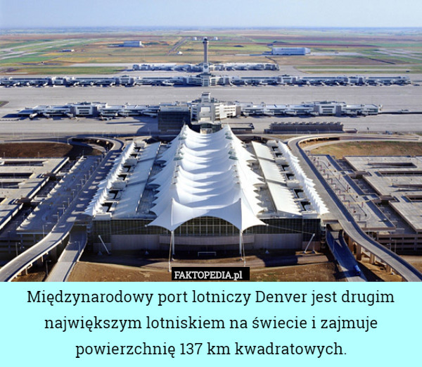 Międzynarodowy port lotniczy Denver jest drugim największym lotniskiem na świecie i zajmuje powierzchnię 137 km kwadratowych. 