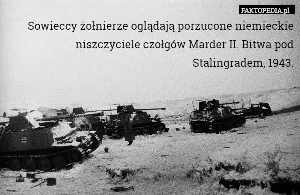 Sowieccy żołnierze oglądają porzucone niemieckie niszczyciele czołgów Marder II. Bitwa pod Stalingradem, 1943. 