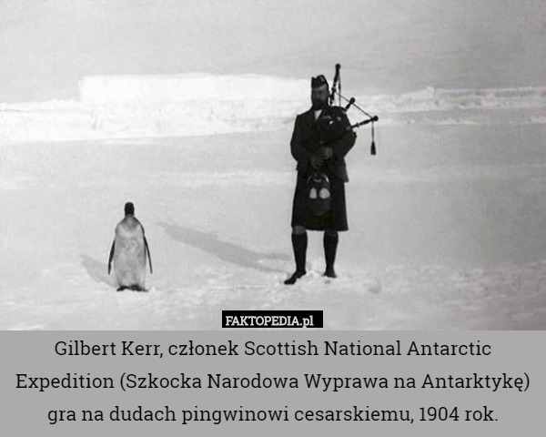 Gilbert Kerr, członek Scottish National Antarctic Expedition (Szkocka Narodowa Wyprawa na Antarktykę) gra na dudach pingwinowi cesarskiemu, 1904 rok. 