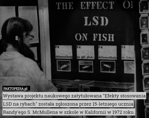 Wystawa projektu naukowego zatytułowana "Efekty stosowania LSD na rybach" została zgłoszona przez 15-letniego ucznia Randy'ego S. McMullena w szkole w Kalifornii w 1972 roku. 