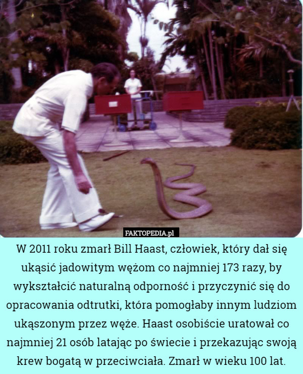 W 2011 roku zmarł Bill Haast, człowiek, który dał się ukąsić jadowitym wężom co najmniej 173 razy, by wykształcić naturalną odporność i przyczynić się do opracowania odtrutki, która pomogłaby innym ludziom ukąszonym przez węże. Haast osobiście uratował co najmniej 21 osób latając po świecie i przekazując swoją krew bogatą w przeciwciała. Zmarł w wieku 100 lat. 