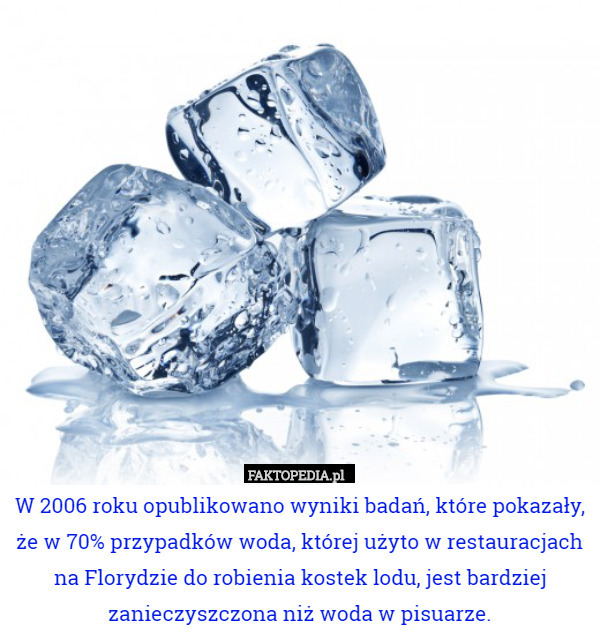 W 2006 roku opublikowano wyniki badań, które pokazały, że w 70% przypadków woda, której użyto w restauracjach na Florydzie do robienia kostek lodu, jest bardziej zanieczyszczona niż woda w pisuarze. 
