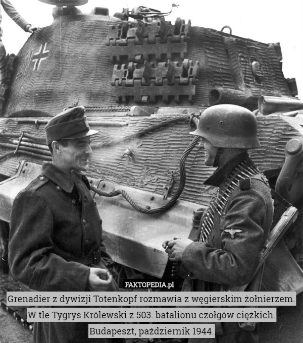 Grenadier z dywizji Totenkopf rozmawia z węgierskim żołnierzem. W tle Tygrys Królewski z 503. batalionu czołgów ciężkich.
Budapeszt, październik 1944. 
