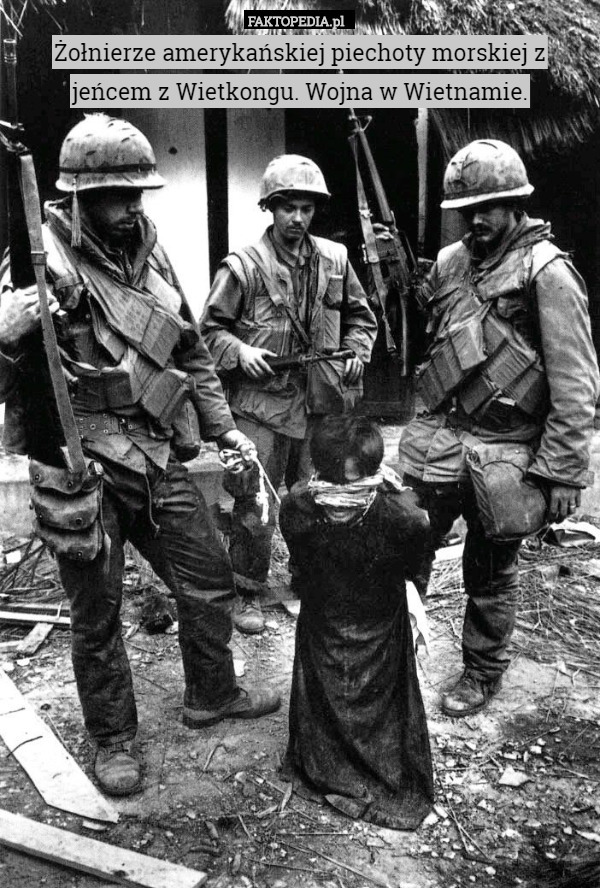 Żołnierze amerykańskiej piechoty morskiej z jeńcem z Wietkongu. Wojna w Wietnamie. 