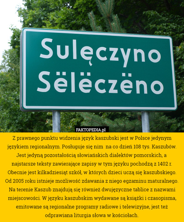 Z prawnego punktu widzenia język kaszubski jest w Polsce jedynym językiem regionalnym. Posługuje się nim  na co dzień 108 tys. Kaszubów. Jest jedyną pozostałością słowiańskich dialektów pomorskich, a  najstarsze teksty zawierające zapisy w tym języku pochodzą z 1402 r. Obecnie jest kilkadziesiąt szkół, w których dzieci uczą się kaszubskiego.
 Od 2005 roku istnieje możliwość zdawania z niego egzaminu maturalnego. Na terenie Kaszub znajdują się również dwujęzyczne tablice z nazwami miejscowości. W języku kaszubskim wydawane są książki i czasopisma, emitowane są regionalne programy radiowe i telewizyjne, jest też odprawiana liturgia słowa w kościołach. 