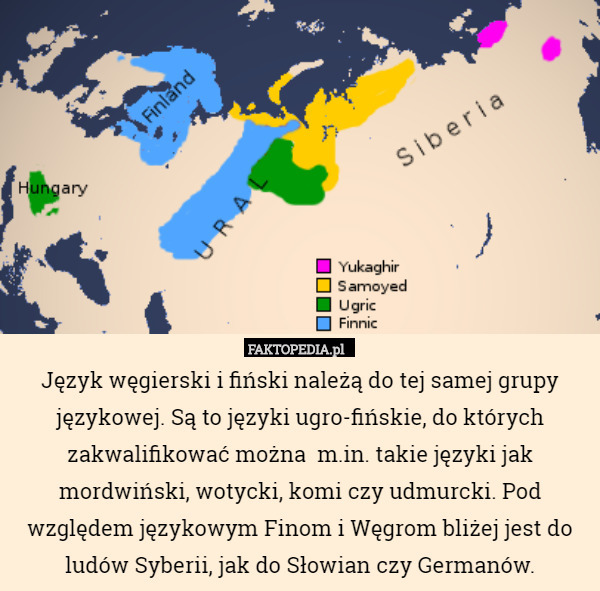 Język węgierski i fiński należą do tej samej grupy językowej. Są to języki ugro-fińskie, do których zakwalifikować można  m.in. takie języki jak mordwiński, wotycki, komi czy udmurcki. Pod względem językowym Finom i Węgrom bliżej jest do ludów Syberii, jak do Słowian czy Germanów. 