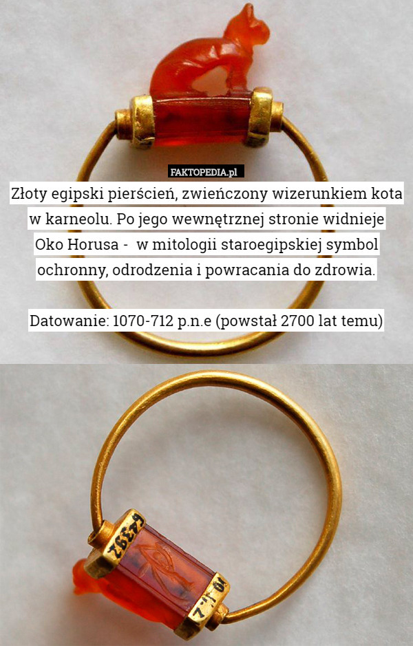 Złoty egipski pierścień, zwieńczony wizerunkiem kota w karneolu. Po jego wewnętrznej stronie widnieje
 Oko Horusa -  w mitologii staroegipskiej symbol ochronny, odrodzenia i powracania do zdrowia.

Datowanie: 1070-712 p.n.e (powstał 2700 lat temu) 