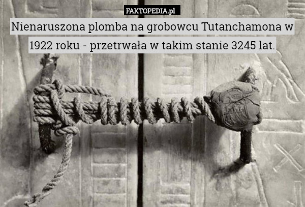 Nienaruszona plomba na grobowcu Tutanchamona w 1922 roku - przetrwała w takim stanie 3245 lat. 
