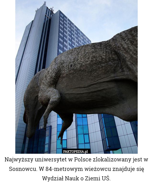 Najwyższy uniwersytet w Polsce zlokalizowany jest w Sosnowcu. W 84-metrowym wieżowcu znajduje się Wydział Nauk o Ziemi UŚ. 