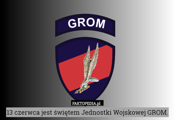 13 czerwca jest świętem Jednostki Wojskowej GROM. 
