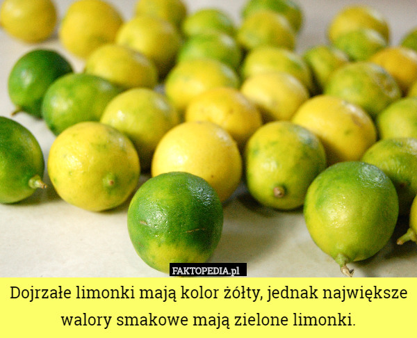 Dojrzałe limonki mają kolor żółty, jednak największe walory smakowe mają zielone limonki. 