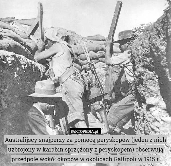 Australijscy snajperzy za pomocą peryskopów (jeden z nich uzbrojony w karabin sprzężony z peryskopem) obserwują przedpole wokół okopów w okolicach Gallipoli w 1915 r. 