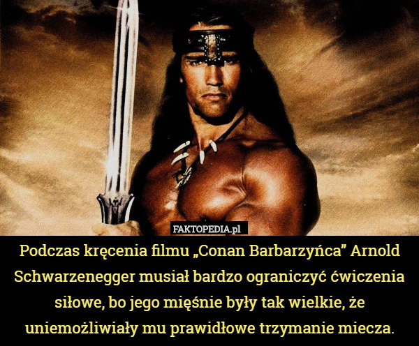 Podczas kręcenia filmu „Conan Barbarzyńca” Arnold Schwarzenegger musiał bardzo ograniczyć ćwiczenia siłowe, bo jego mięśnie były tak wielkie, że uniemożliwiały mu prawidłowe trzymanie miecza. 