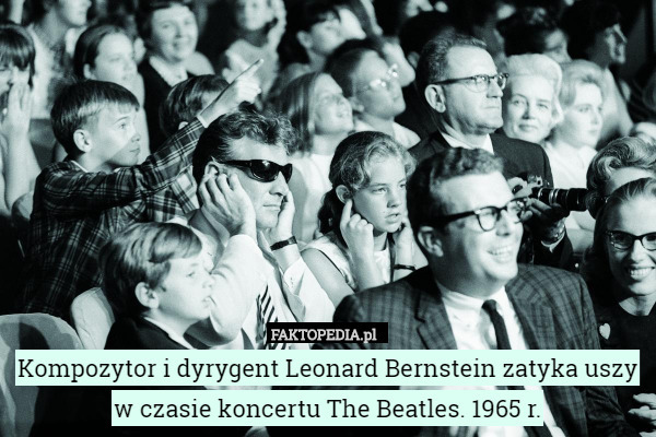 Kompozytor i dyrygent Leonard Bernstein zatyka uszy w czasie koncertu The Beatles. 1965 r. 