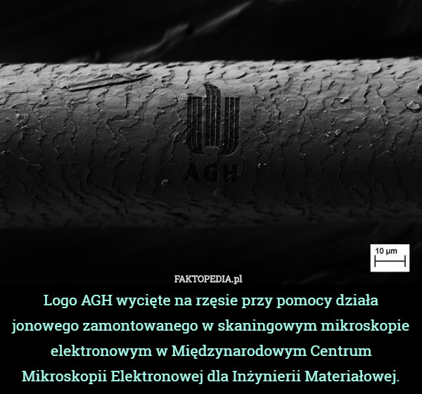 Logo AGH wycięte na rzęsie przy pomocy działa jonowego zamontowanego w skaningowym mikroskopie elektronowym w Międzynarodowym Centrum Mikroskopii Elektronowej dla Inżynierii Materiałowej. 