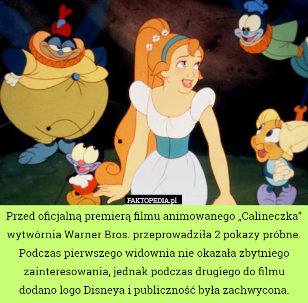 Przed oficjalną premierą filmu animowanego „Calineczka” wytwórnia Warner Bros. przeprowadziła 2 pokazy próbne. Podczas pierwszego widownia nie okazała zbytniego zainteresowania, jednak podczas drugiego do filmu dodano logo Disneya i publiczność była zachwycona. 
