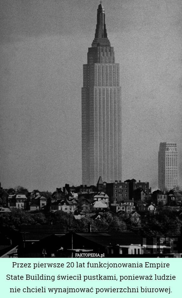 Przez pierwsze 20 lat funkcjonowania Empire State Building świecił pustkami, ponieważ ludzie nie chcieli wynajmować powierzchni biurowej. 