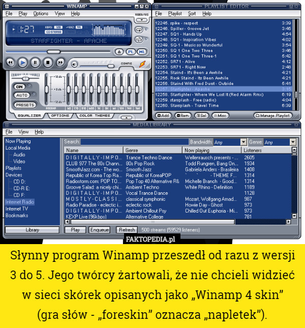 Słynny program Winamp przeszedł od razu z wersji 3 do 5. Jego twórcy żartowali, że nie chcieli widzieć w sieci skórek opisanych jako „Winamp 4 skin”
 (gra słów - „foreskin” oznacza „napletek”). 