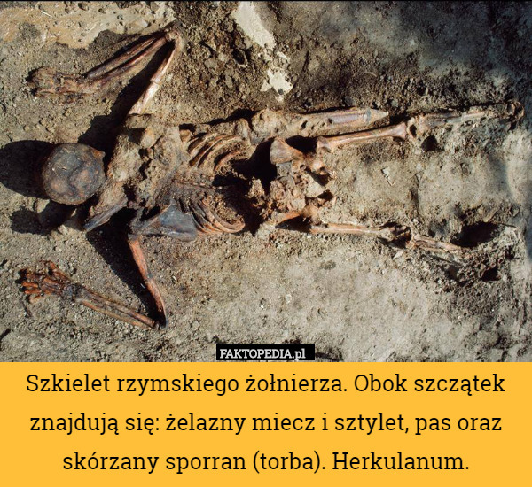 Szkielet rzymskiego żołnierza. Obok szczątek znajdują się: żelazny miecz i sztylet, pas oraz skórzany sporran (torba). Herkulanum. 