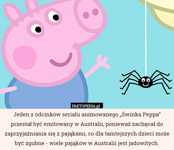 Jeden z odcinków serialu animowanego „Świnka Peppa” przestał być emitowany w Australii, ponieważ zachęcał do zaprzyjaźniania się z pająkami, co dla tamtejszych dzieci może być zgubne - wiele pająków w Australii jest jadowitych. 