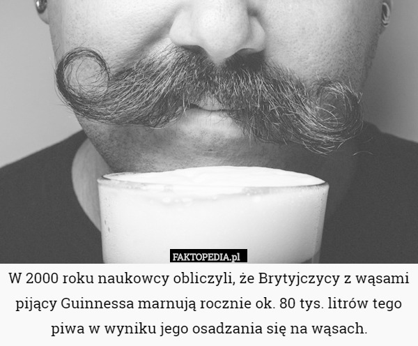 W 2000 roku naukowcy obliczyli, że Brytyjczycy z wąsami pijący Guinnessa marnują rocznie ok. 80 tys. litrów tego piwa w wyniku jego osadzania się na wąsach. 
