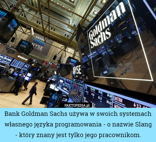 Bank Goldman Sachs używa w swoich systemach własnego języka programowania - o nazwie Slang - który znany jest tylko jego pracownikom. 